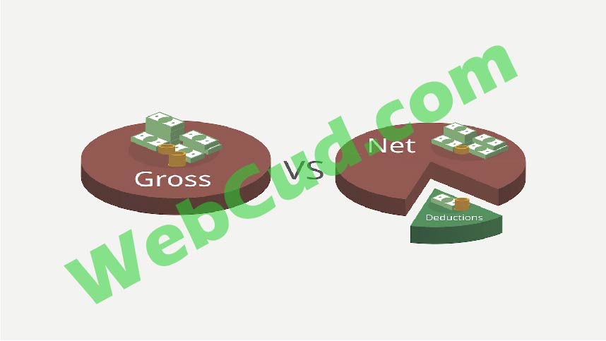 what is the difference between gross pay and net pay?